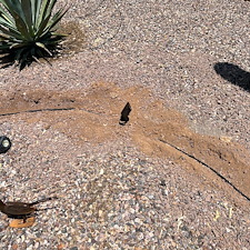 Professional-low-voltage-landscape-accent-lighting-installation-in-Surprise-Az 3