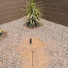 Professional-low-voltage-landscape-accent-lighting-installation-in-Surprise-Az 0
