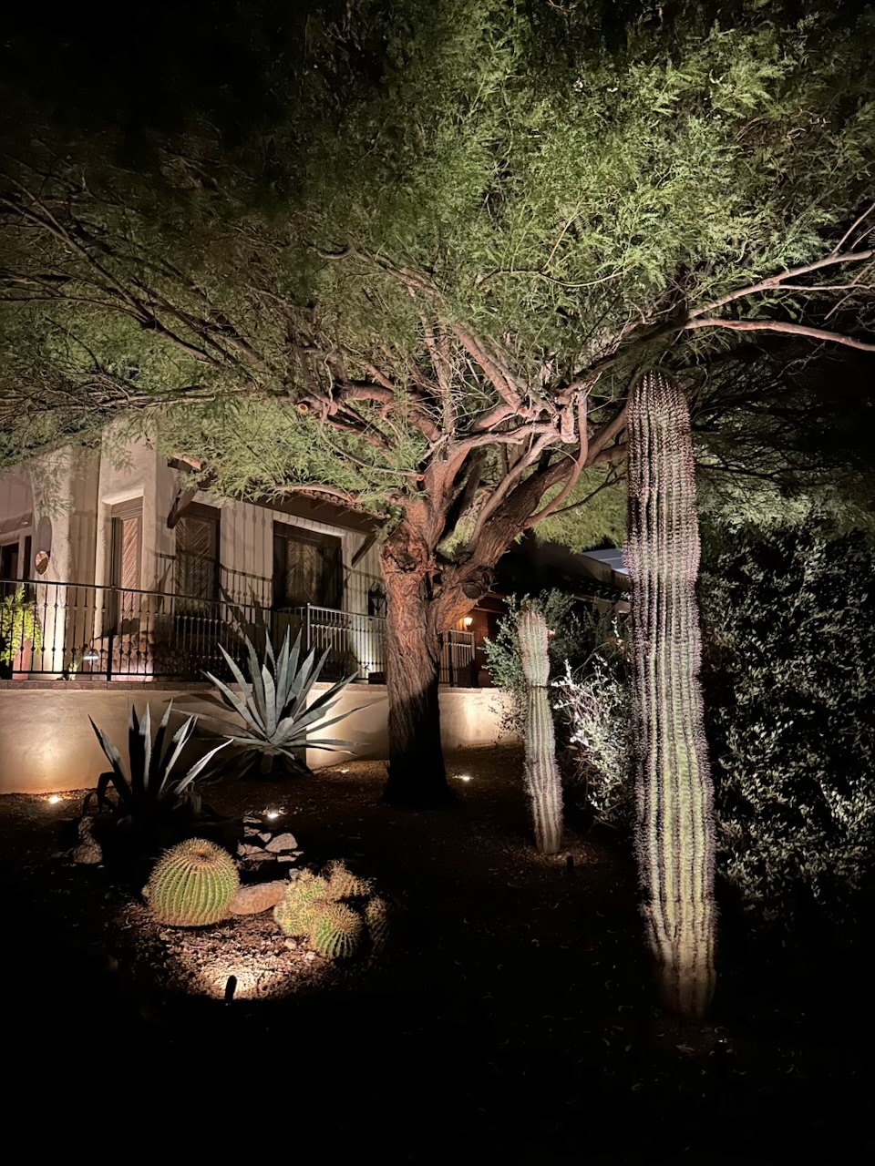 Professional low voltage landscape accent lighting installation in Scottsdale Az (1) Thumbnail