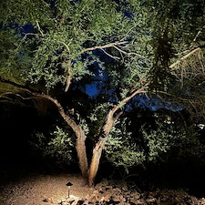 Professional-low-voltage-landscape-accent-lighting-installation-in-Scottsdale-Az-1 5