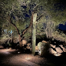 Professional-low-voltage-landscape-accent-lighting-installation-in-Scottsdale-Az-1 3