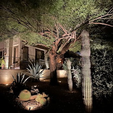 Professional-low-voltage-landscape-accent-lighting-installation-in-Scottsdale-Az-1 6