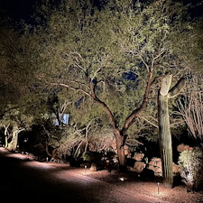 Professional-low-voltage-landscape-accent-lighting-installation-in-Scottsdale-Az-1 9