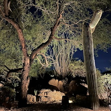 Professional-low-voltage-landscape-accent-lighting-installation-in-Scottsdale-Az-1 11
