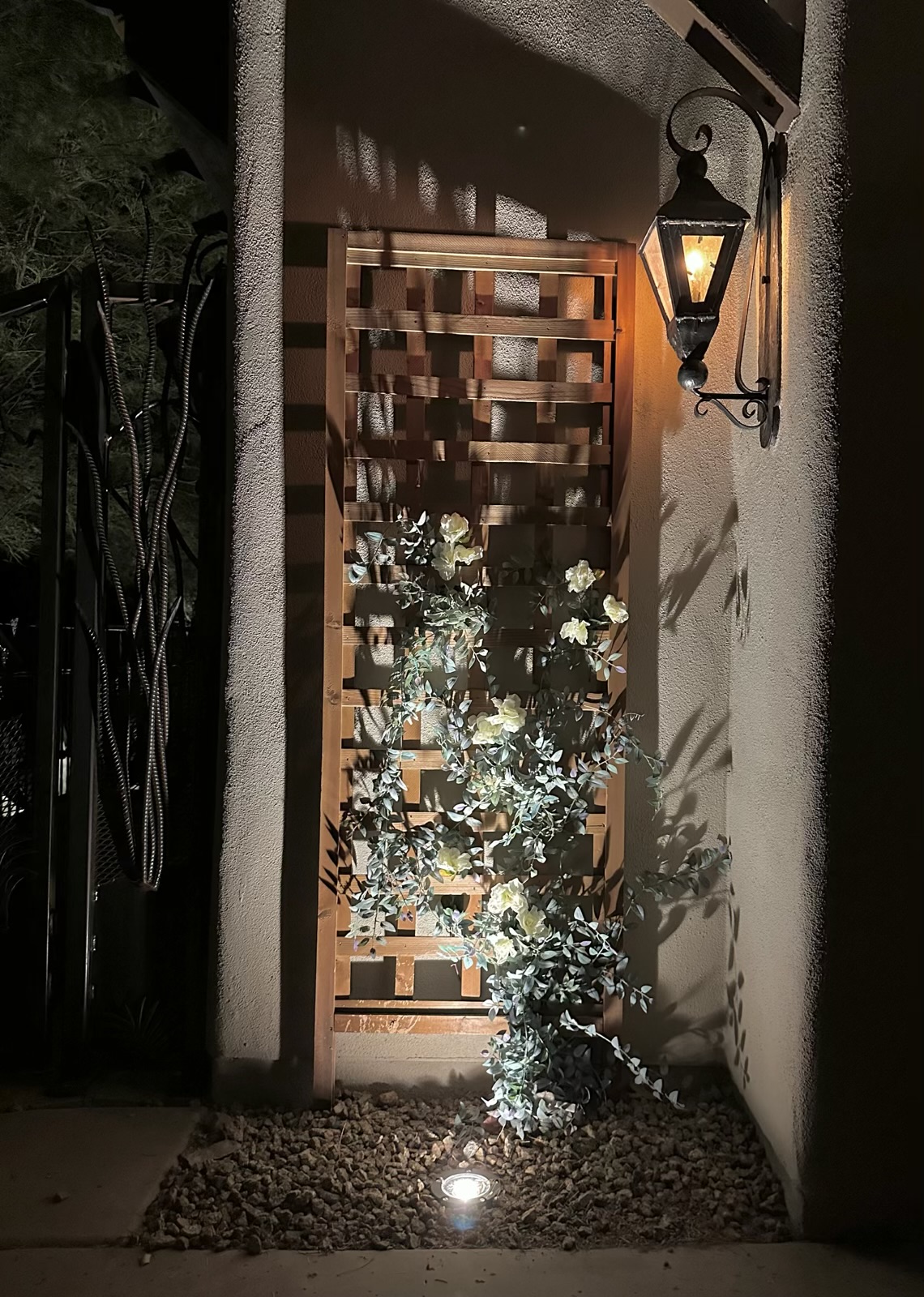 Professional low voltage landscape accent lighting installation in Scottsdale Az 2