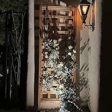 Professional-low-voltage-landscape-accent-lighting-installation-in-Scottsdale-Az-2 7