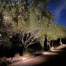 Professional-low-voltage-landscape-accent-lighting-installation-in-Scottsdale-Az-2 0