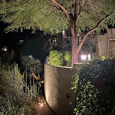 Professional-low-voltage-landscape-accent-lighting-installation-in-Scottsdale-Az-2 2