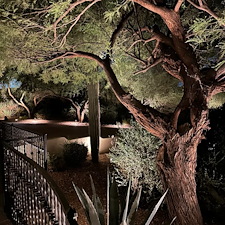 Professional-low-voltage-landscape-accent-lighting-installation-in-Scottsdale-Az-2 3
