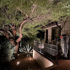 Professional-low-voltage-landscape-accent-lighting-installation-in-Scottsdale-Az-2 5