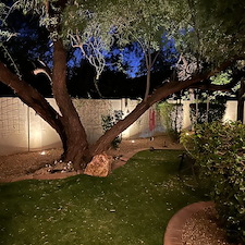 Professional-low-voltage-landscape-accent-lighting-installation-in-Phoenix 3