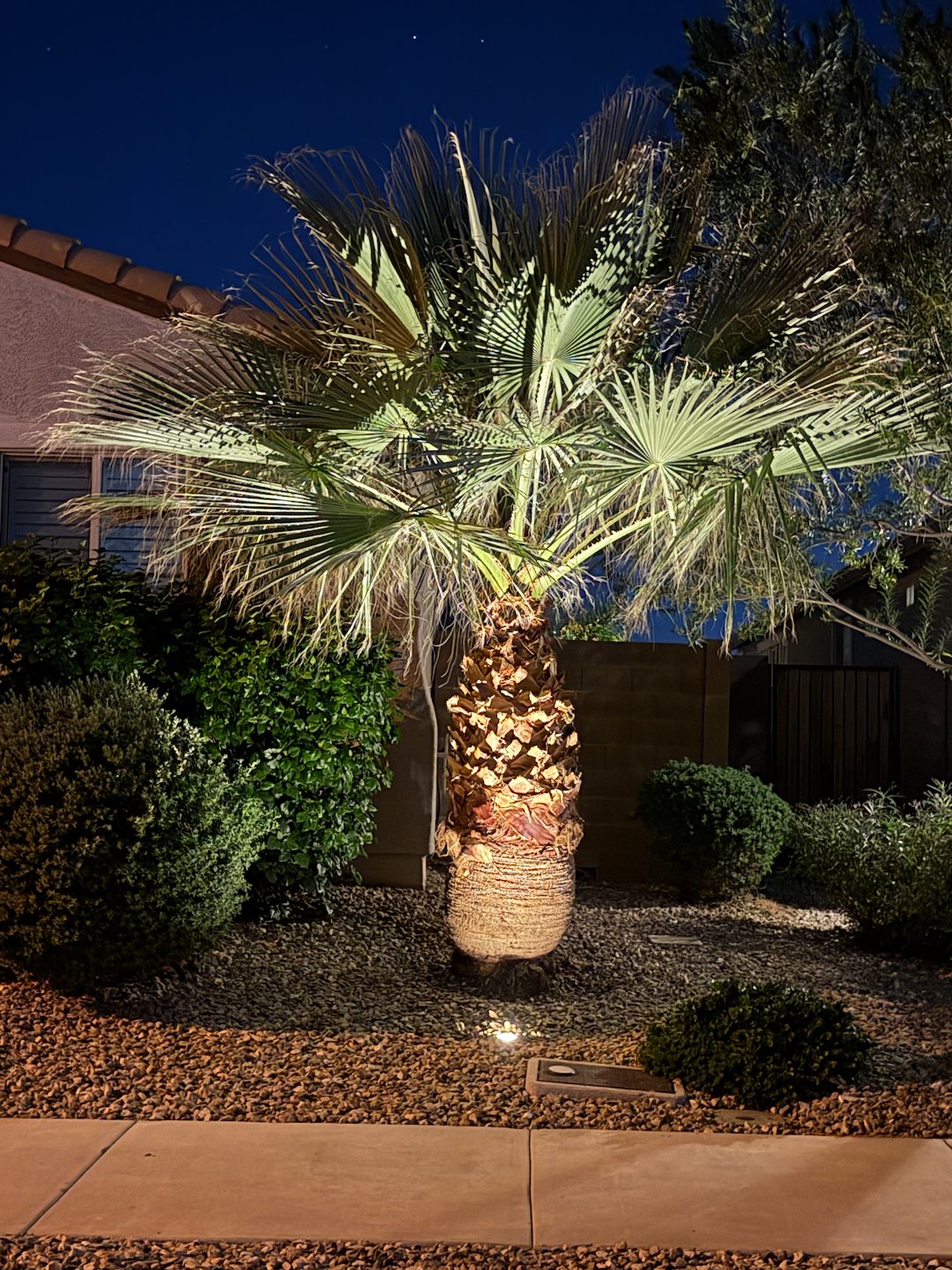 Professional low voltage landscape accent lighting system installation in Surprise Az Thumbnail