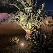 Professional-low-voltage-landscape-accent-lighting-system-installation-in-Surprise-Az 0