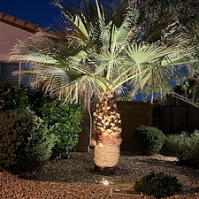 Professional-low-voltage-landscape-accent-lighting-system-installation-in-Surprise-Az 7