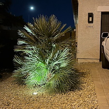 Professional-low-voltage-landscape-accent-lighting-system-installation-in-Surprise-Az 8