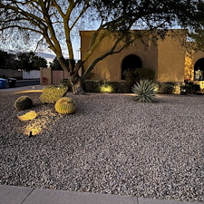 Professional-low-voltage-landscape-accent-lighting-system-installation-in-Scottsdale-Az 1