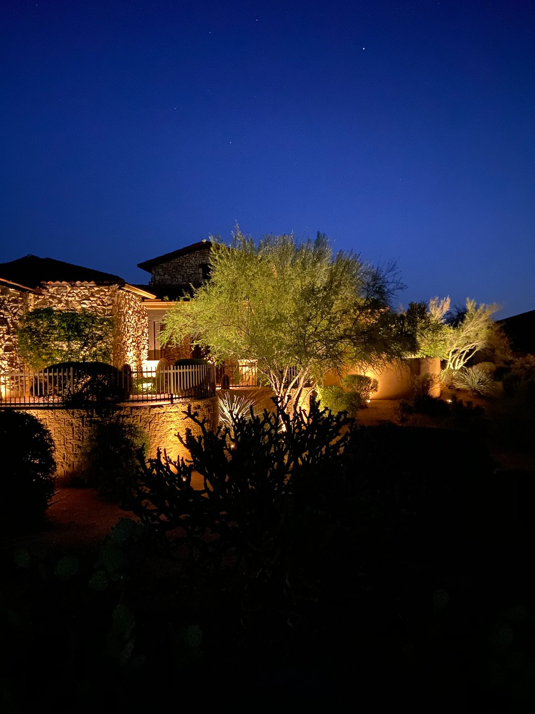 Professional low voltage landscape accent lighting installation in Scottsdale Az Thumbnail