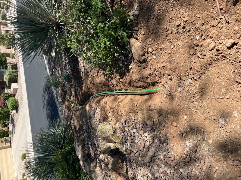 Professional Plant Drip Irrigation System Installation in Anthem, AZ Thumbnail