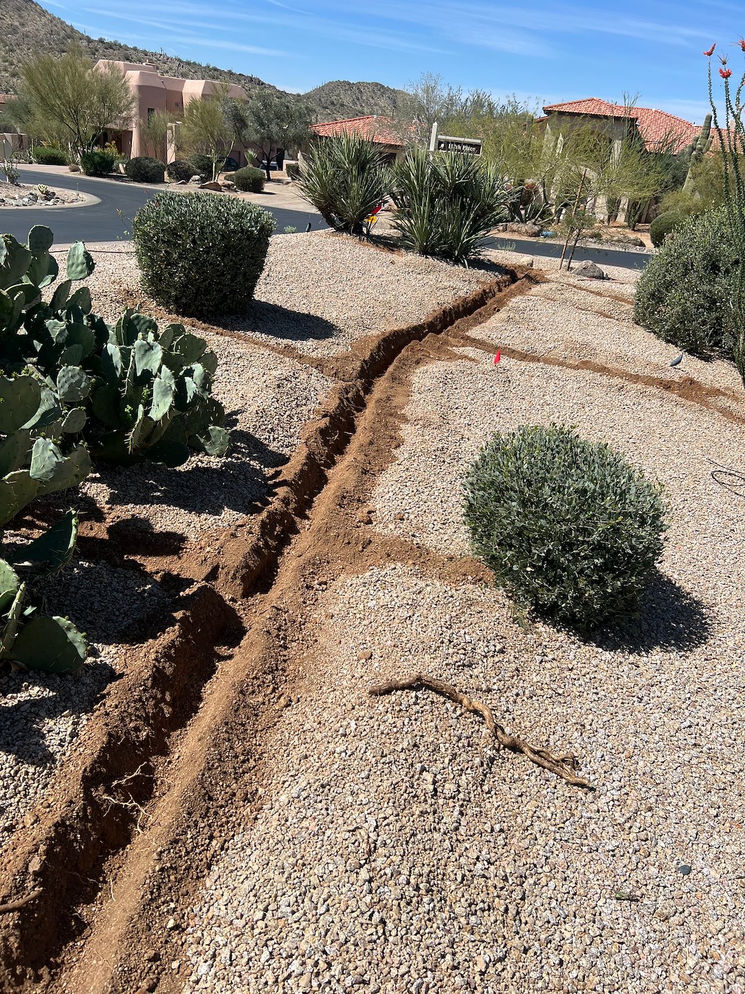 Professional plant drip irrigation installation scottsdale Thumbnail