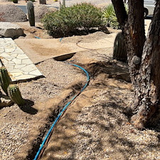 Professional-plant-drip-irrigation-installation-scottsdale 0