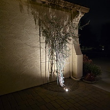 Professional-well-planned-low-voltage-landscape-accent-lighting-installation-in-Tramonto 0