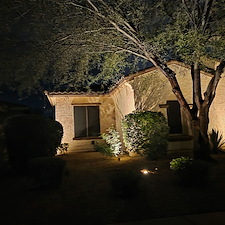 Professional-well-planned-low-voltage-landscape-accent-lighting-installation-in-Tramonto 3