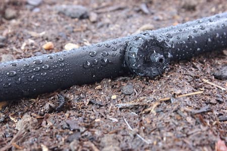 Drip Irrigation System Installation