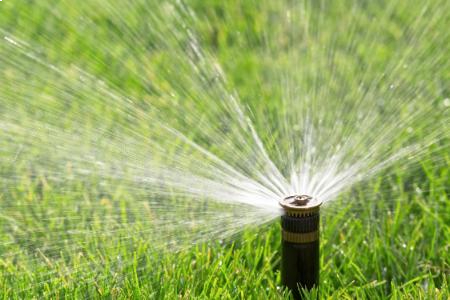 Sprinkler